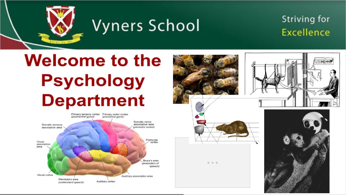 Psychology presentation - Click here to download