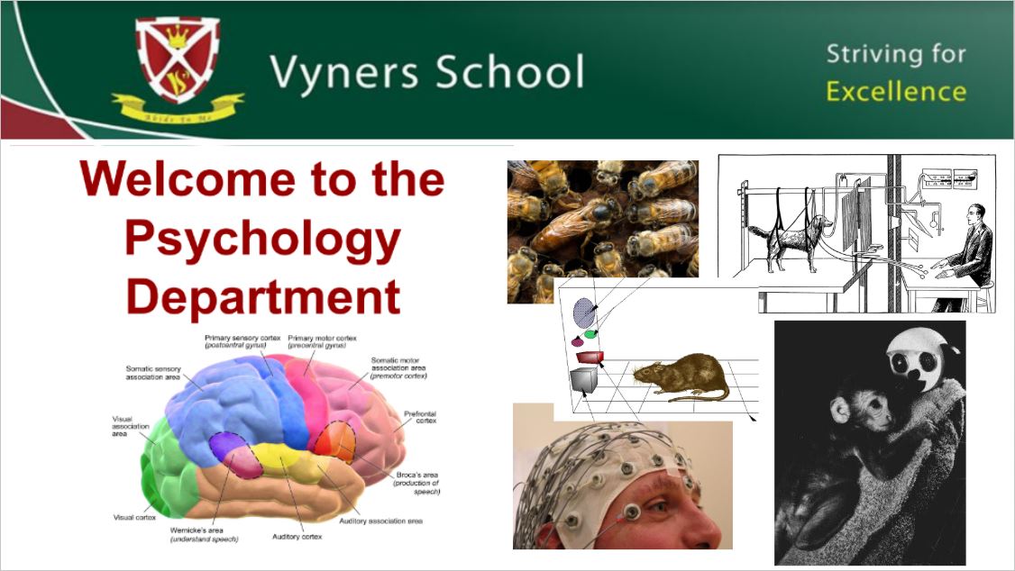 Psychology presentation - Click here to download
